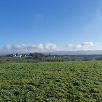 A la rencontre du père de l'Europe - BEAUPONT