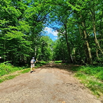 Randonnée à Verneuil - Boucle des Échards - VERNEUIL