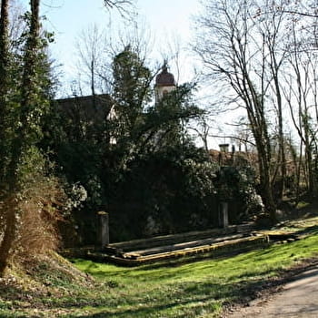 Les Vignes - BUFFARD