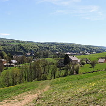 Sentier de la source de la Saine - FONCINE-LE-HAUT