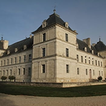 Ancy-le-Franc et son château - ANCY-LE-FRANC