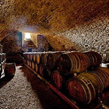 Maison Bonnot - SAINT-LOTHAIN