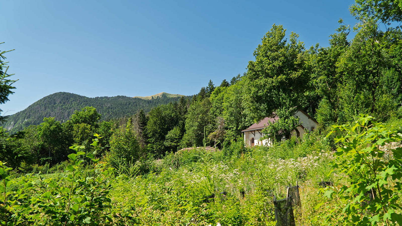Randonnée pédestre : la pierre à Baptiste