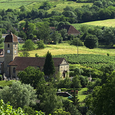 Entre Seille et Vignoble