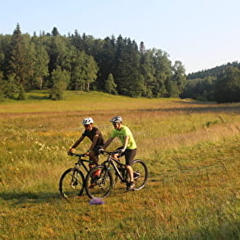 Parcours VTTAE 64 bleu - Montfalcon - Espace FFC Ain Forestière - PLATEAU D'HAUTEVILLE
