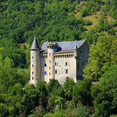 Randonnée pédestre : Le Grand Colombier depuis Culoz