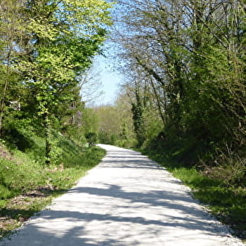 Bois de Brussey - BRUSSEY