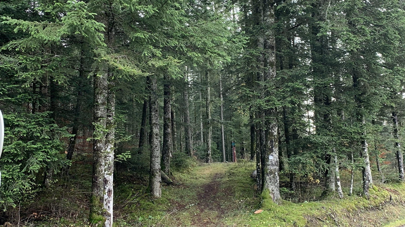 Randonnée - Les crêtes de la Clye