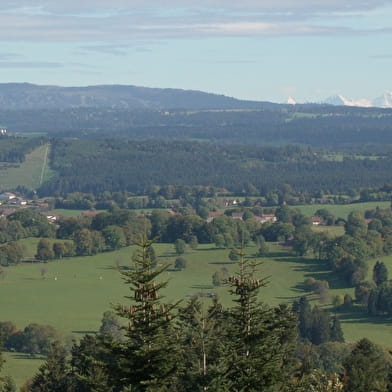 Le Faux Verger - n°19