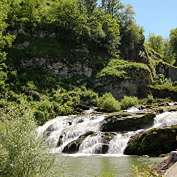 Tour des Pertes de l'Ain - BOURG-DE-SIROD