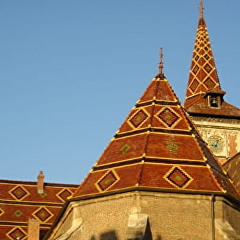 Louhans-Châteaurenaud, la cité aux 157 arcades - LOUHANS