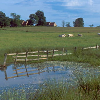 Circuit des Blancs - COLOMBIER-EN-BRIONNAIS