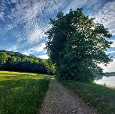Randonnée pédestre : Le Tour du Mont de Cordon