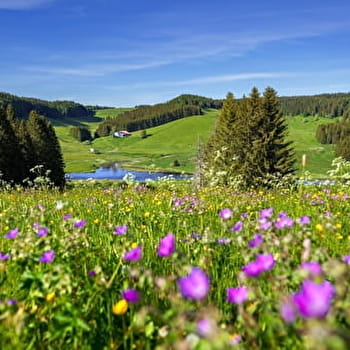 Tour des Closettes - 42R - LA PESSE