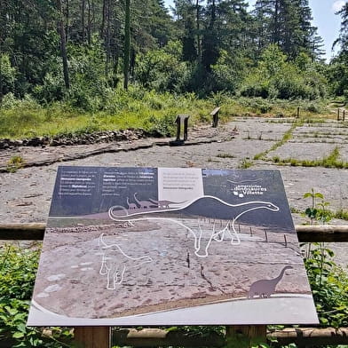 Circuit VTT n°28 (rouge) Val de Buenc - Balmont