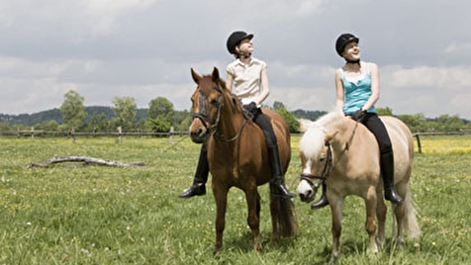 Boucle équestre autour de St Etienne sur Chalaronne - Ain à cheval