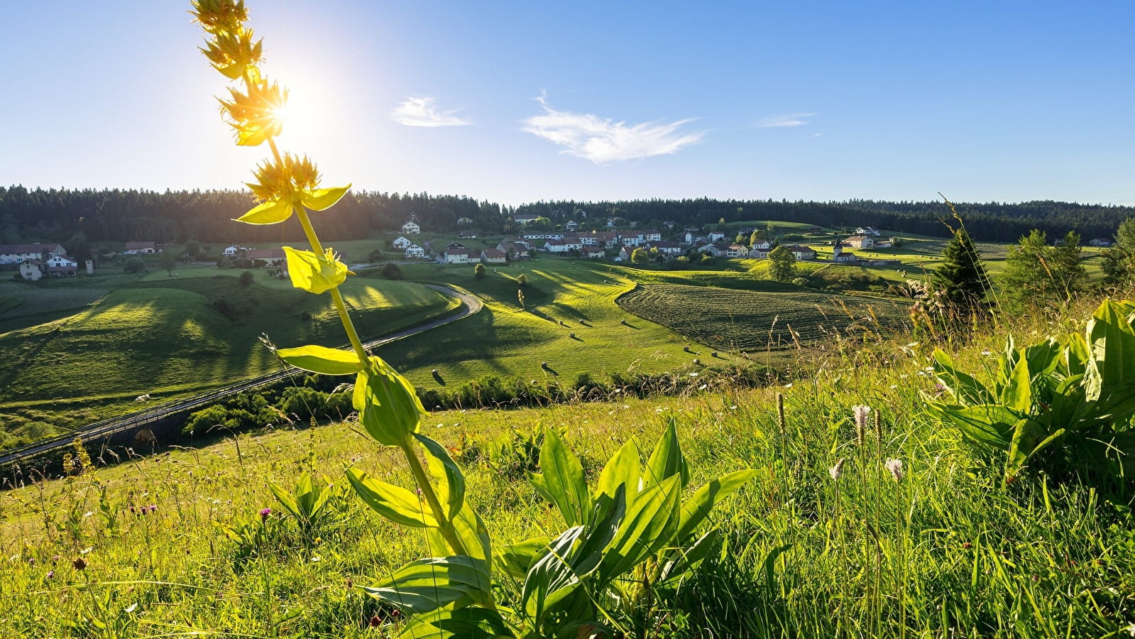 La Combe Romanet - 82B