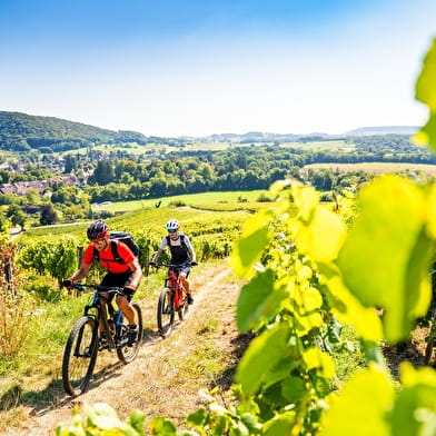 Le Tour du Premier Plateau, entre lacs et vignoble