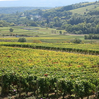 Les Moulins - SAINT-MAURICE-LES-COUCHES