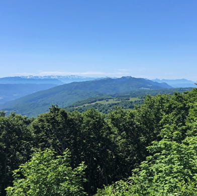 Randonnée sur la Grande Traversée du Jura : 3 jours du Plateau de Retord au Grand Colombier
