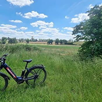 Circuit VTTAE n°9 (rouge) - Le bocage de Foissiat - FOISSIAT