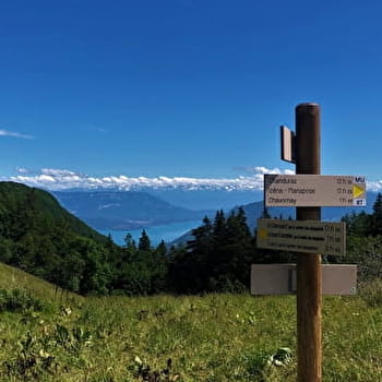 Randonnée du Grand Colombier depuis Munet - ARVIERE-EN-VALROMEY