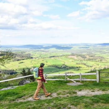 Balade Verte - Charme de Morphée (S3) - SUIN
