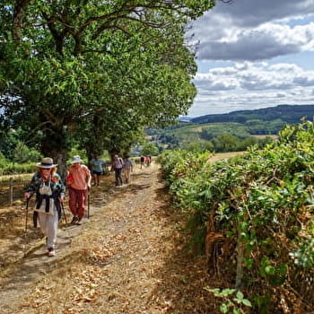 AMUR Celte Broyes - BROYE