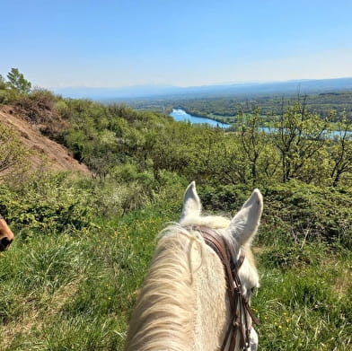 Circuit des caves et des fours du Bugey Sud