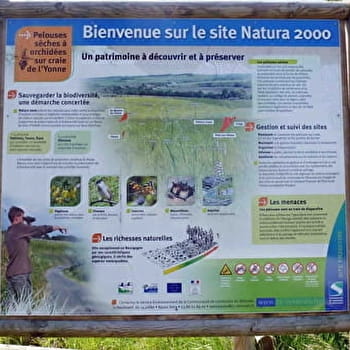 La boucle des Carrelottes - SAINT-MARTIN-DU-TERTRE