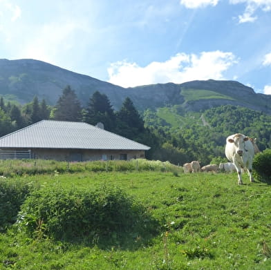 Randonnée pédestre : le Colomby de Gex depuis le Pailly