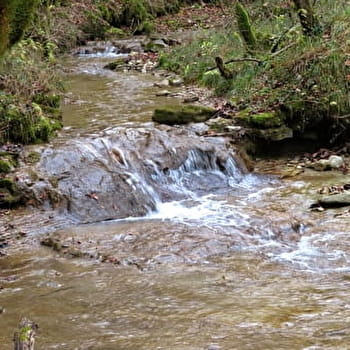 Ruisseau de Cornebouche - MONTGESOYE