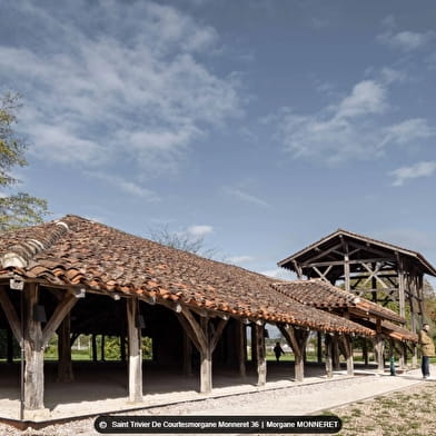 Circuit VTTAE n°21 (bleu) Cheminées Sarrasines & Etangs bressans