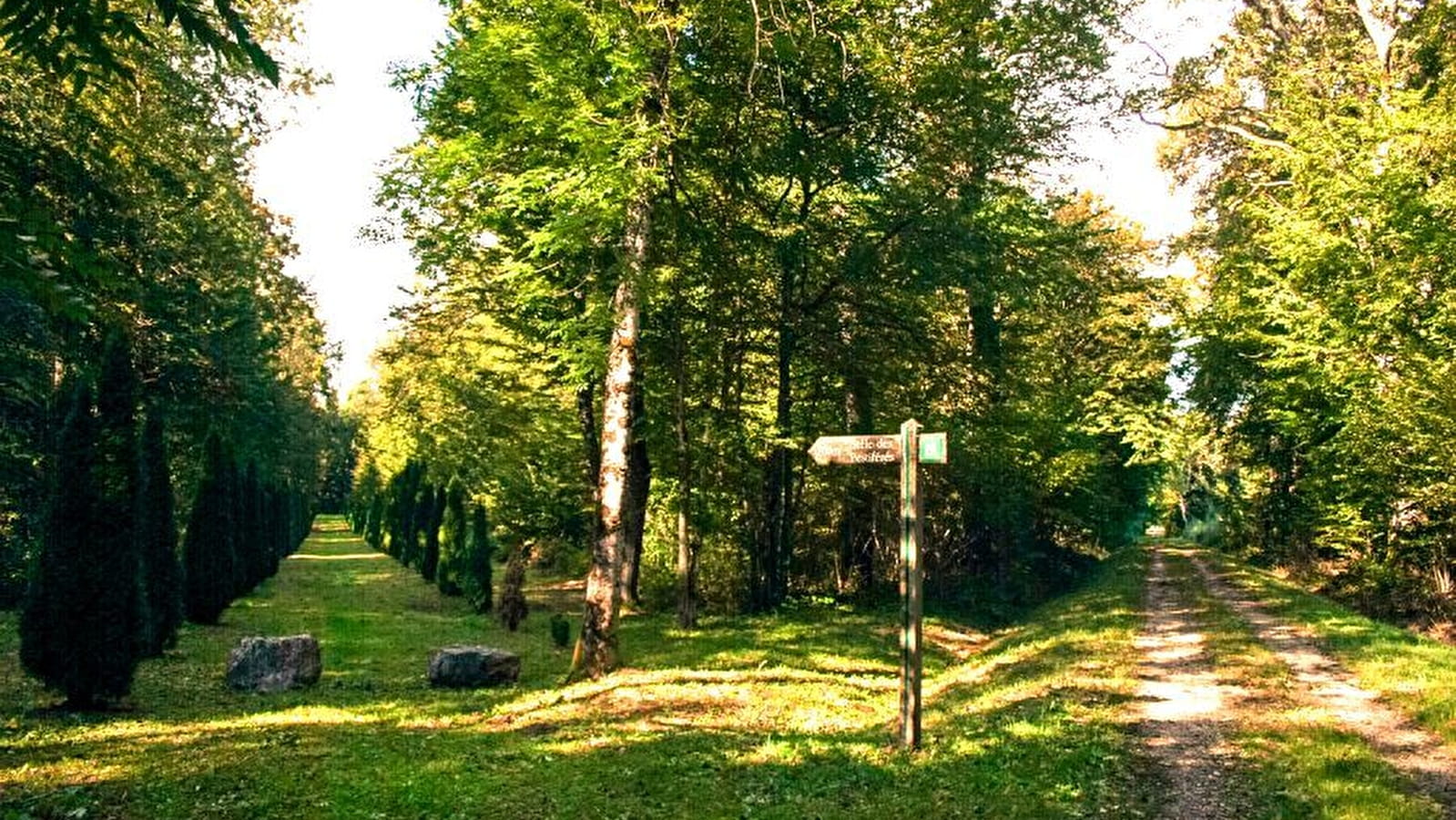 Bois des Fouchères