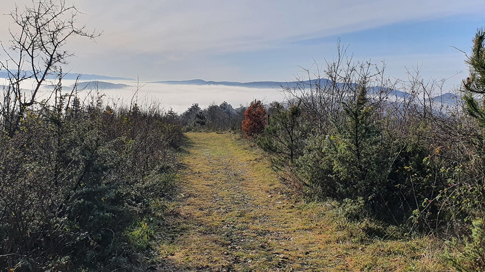 Randonnée - Belvédère du Mont de Grillerin