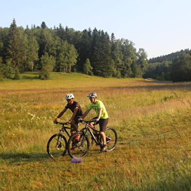 Parcours VTT 64 rouge - Montfalcon - Espace FFC Ain Forestière