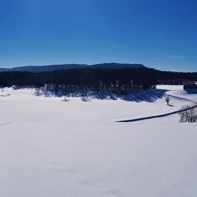 Itinéraire Raquettes du site de Lachat 'Le Nerbier'