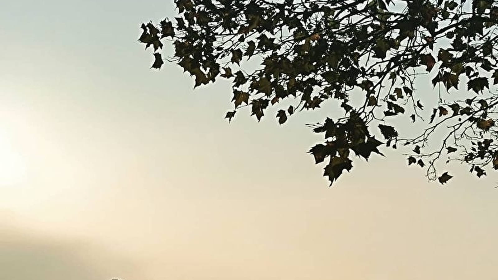 Levée du jour brumeux sur le Charolais-Brionnais