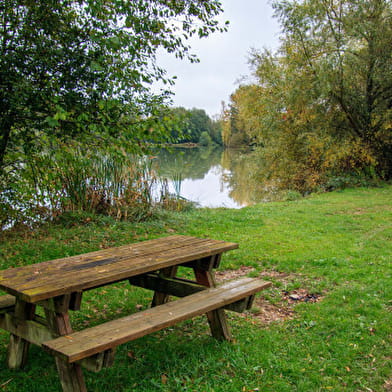 Centre historique et étangs de Charny