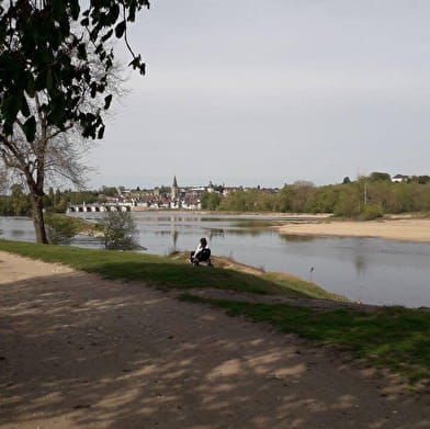 Du canal au vieux chêne