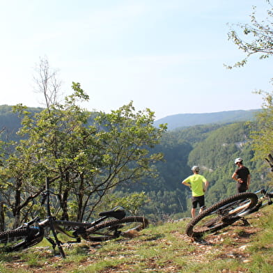 Parcours VTTAE 53 bleu - Les Cadettes de la Ragiaz - Espace FFC Ain Forestière