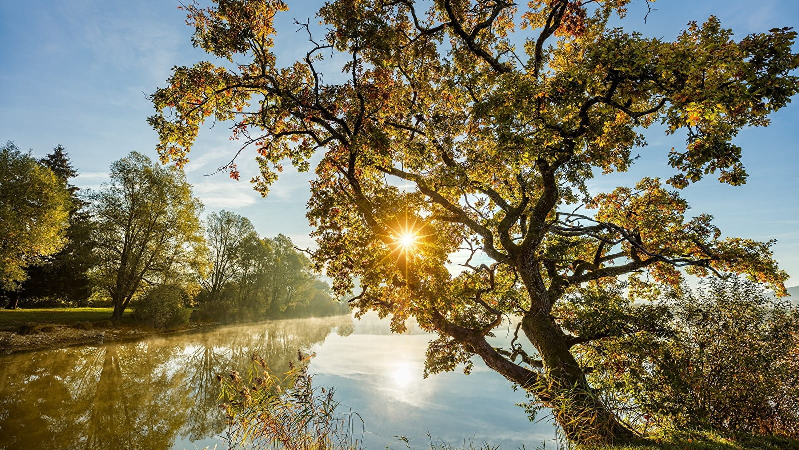 La Maison des Étangs-Est - 59B