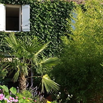 Jacques Repiquet - Studio Aristide - LUXEUIL-LES-BAINS