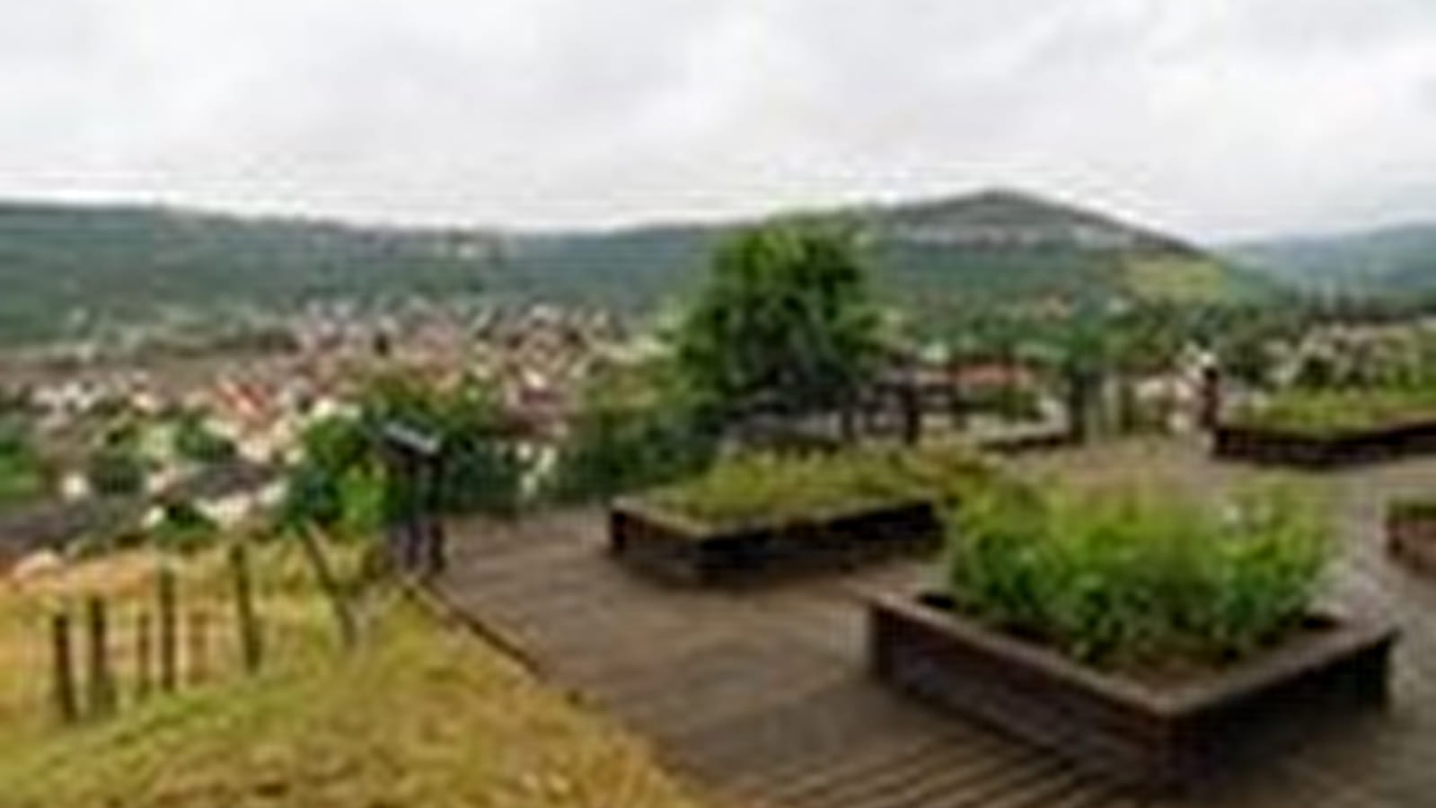 Verger Conservatoire