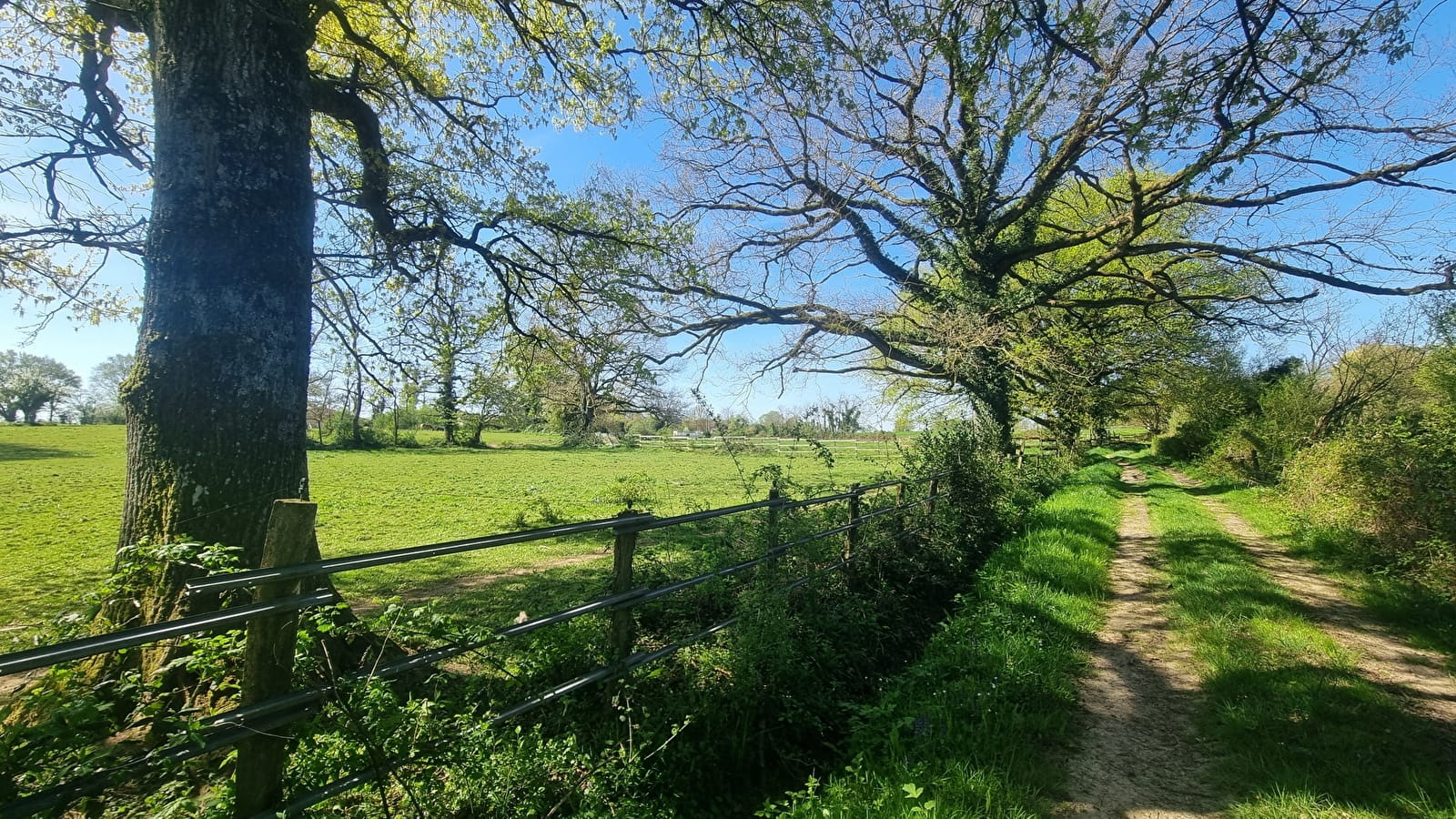 Liaison VTT-VTC (L4) St Trivier de Courtes - Ferme de la Forêt
