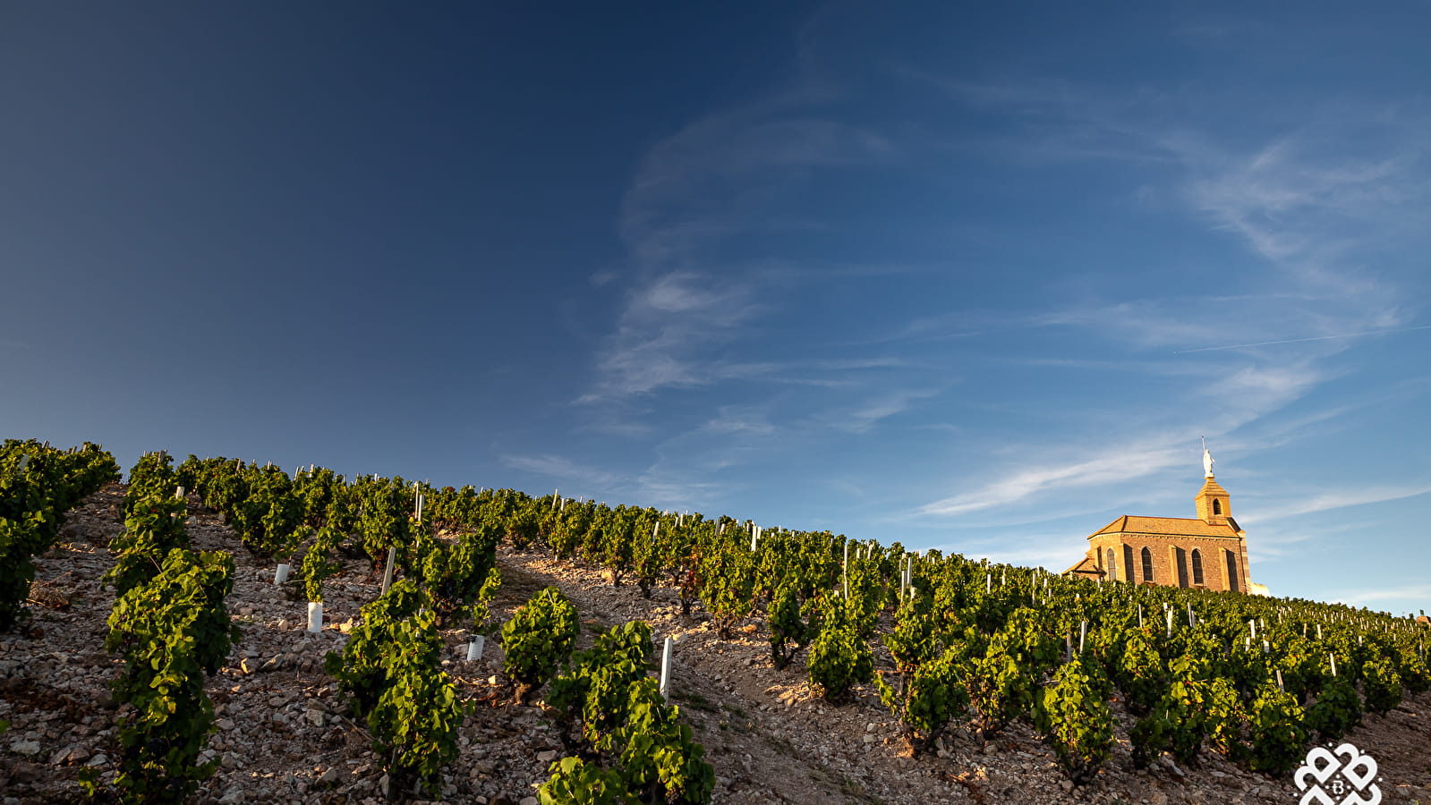 Circuit Entre vignes et bois