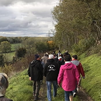 Balade A la Croisée des chemins à Neuvy-sur-Loire - NEUVY-SUR-LOIRE