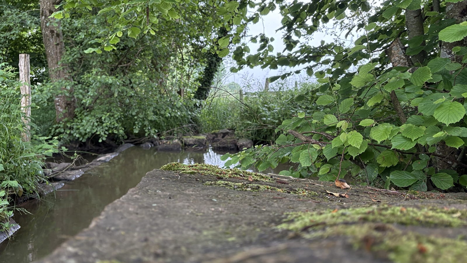 Le petit Martigny - Circuit VTT n°1