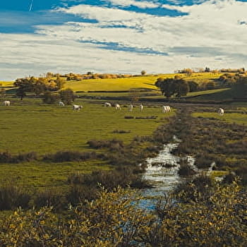 Le Mesvrin - SAINT-SERNIN-DU-BOIS