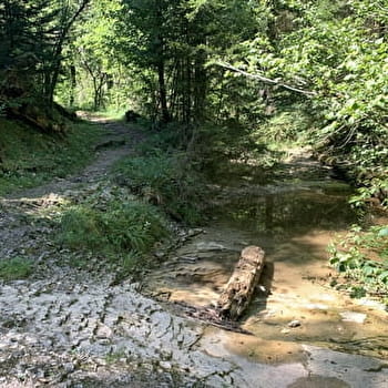 Randonnée - La vallée du Landeyron - MONTREAL-LA-CLUSE